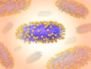 ogomovies.rs|symptomen rs virus volwassenen.